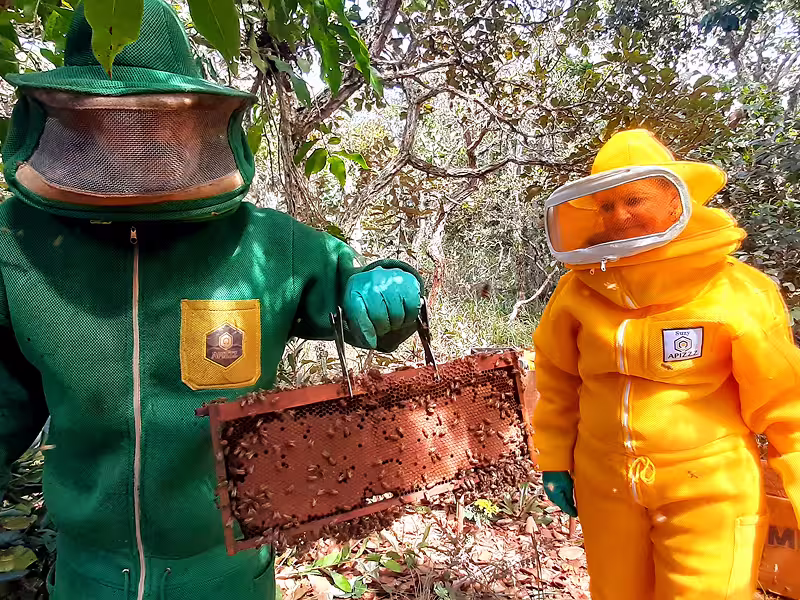 Manejo sustentável e resgate de abelhas na indústria.